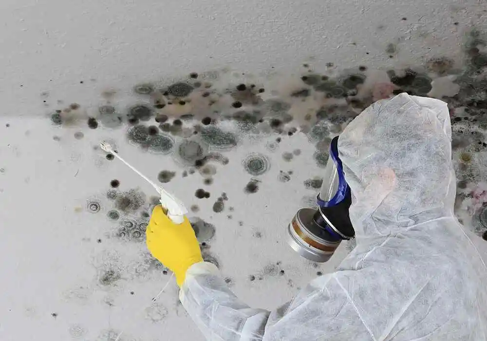 Mann in Schutzanzug sprüht Mittel gegen Schimmel